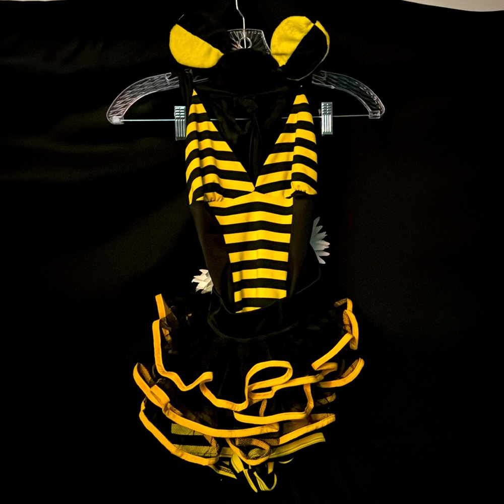 Roma Black and Yellow Striped Bee Costume